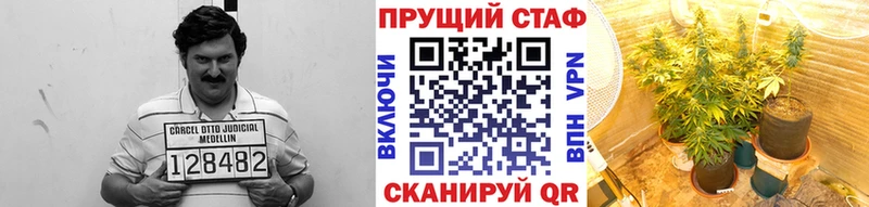 Хочу наркоту Поворино А ПВП  Псилоцибиновые грибы  Героин  ГАШ  Меф мяу мяу  гидра вход  АМФ  Cocaine 