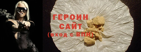 сатива Новозыбков