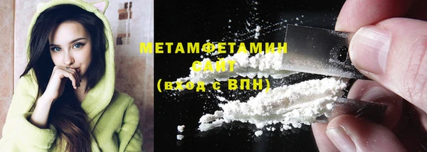 сатива Новозыбков