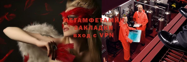 сатива Новозыбков