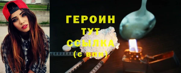 сатива Новозыбков