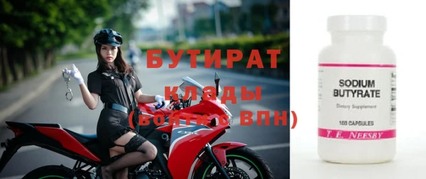 сатива Новозыбков