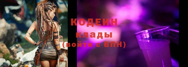 сатива Новозыбков