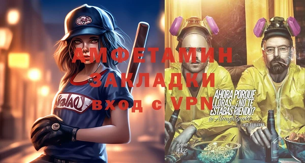 сатива Новозыбков