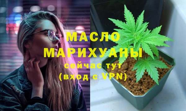 сатива Новозыбков
