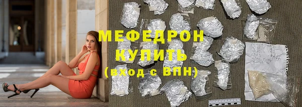 сатива Новозыбков