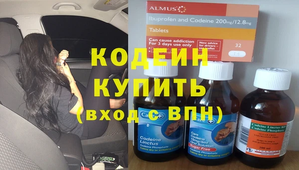сатива Новозыбков