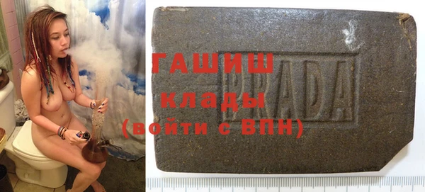 сатива Новозыбков