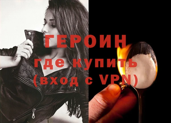 сатива Новозыбков