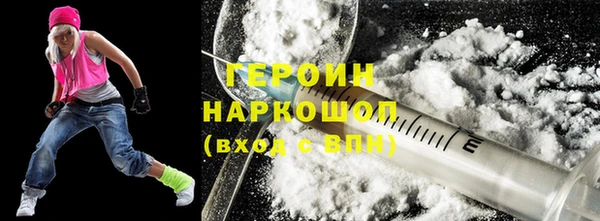 сатива Новозыбков