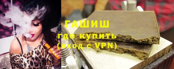 сатива Новозыбков