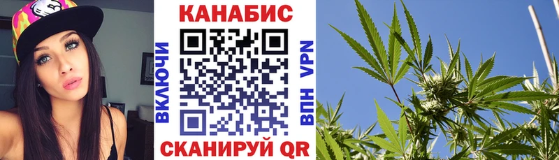 купить   Поворино  Бошки марихуана SATIVA & INDICA 